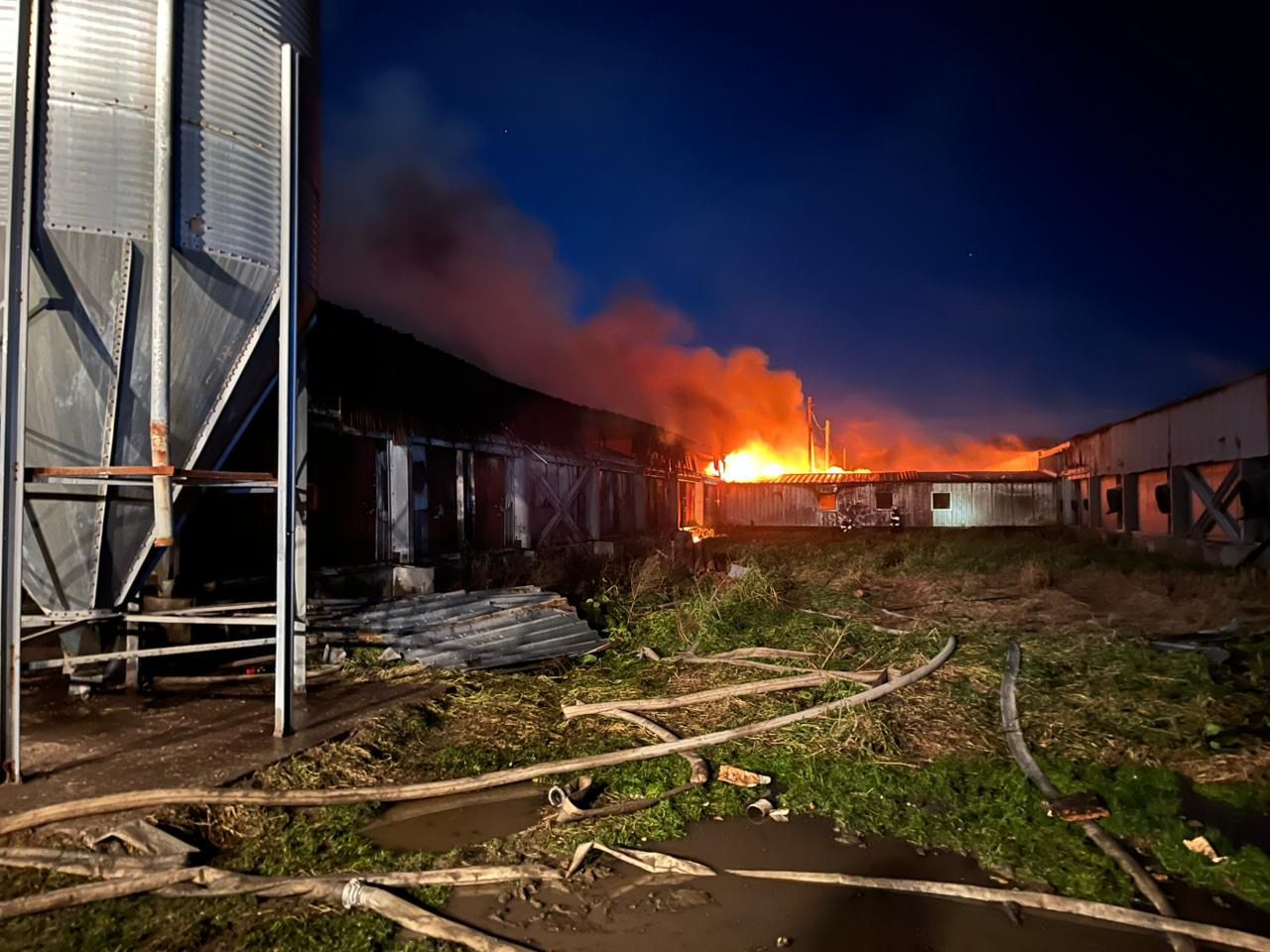 WhatsApp Image 2025 11 05 at 22.26.05