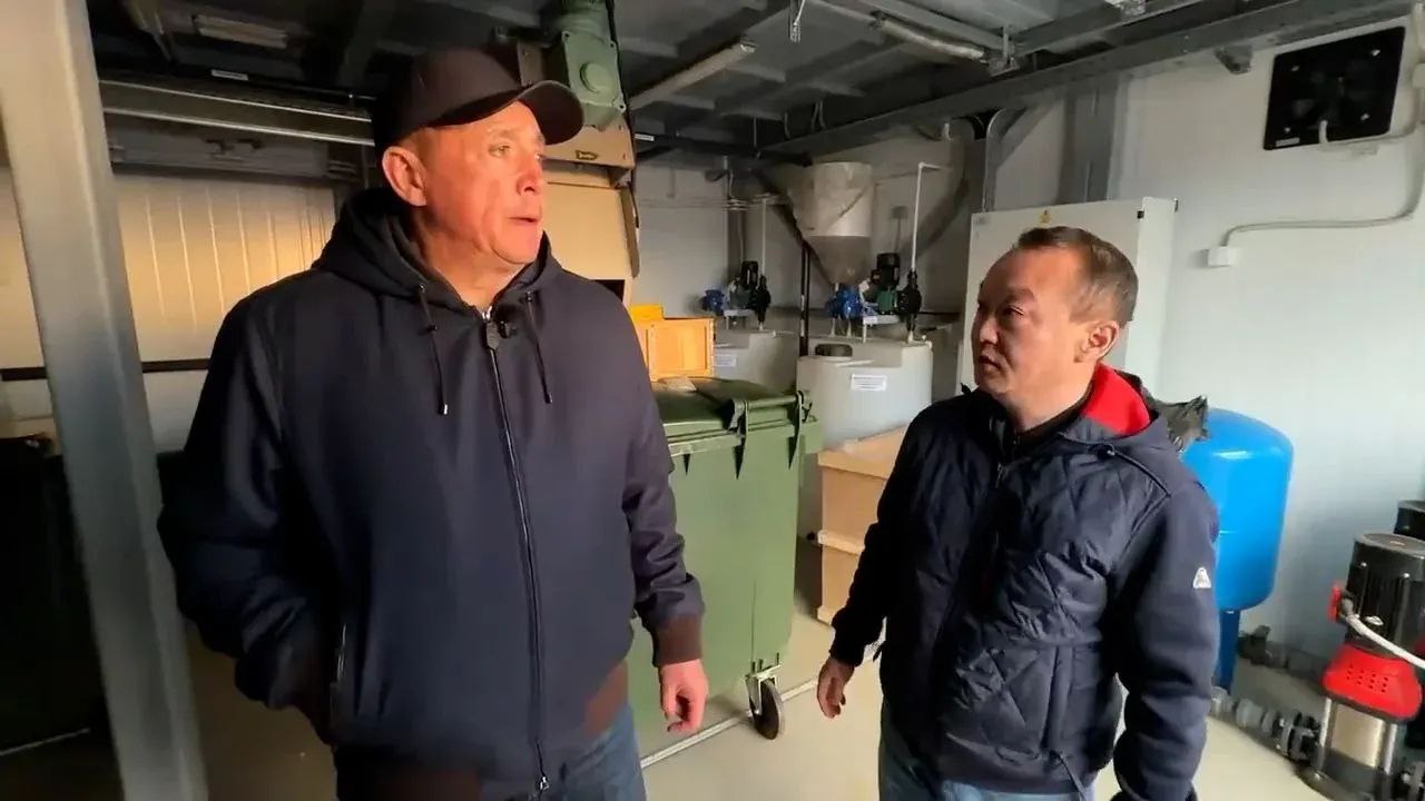 photo 5217689111030862958 y